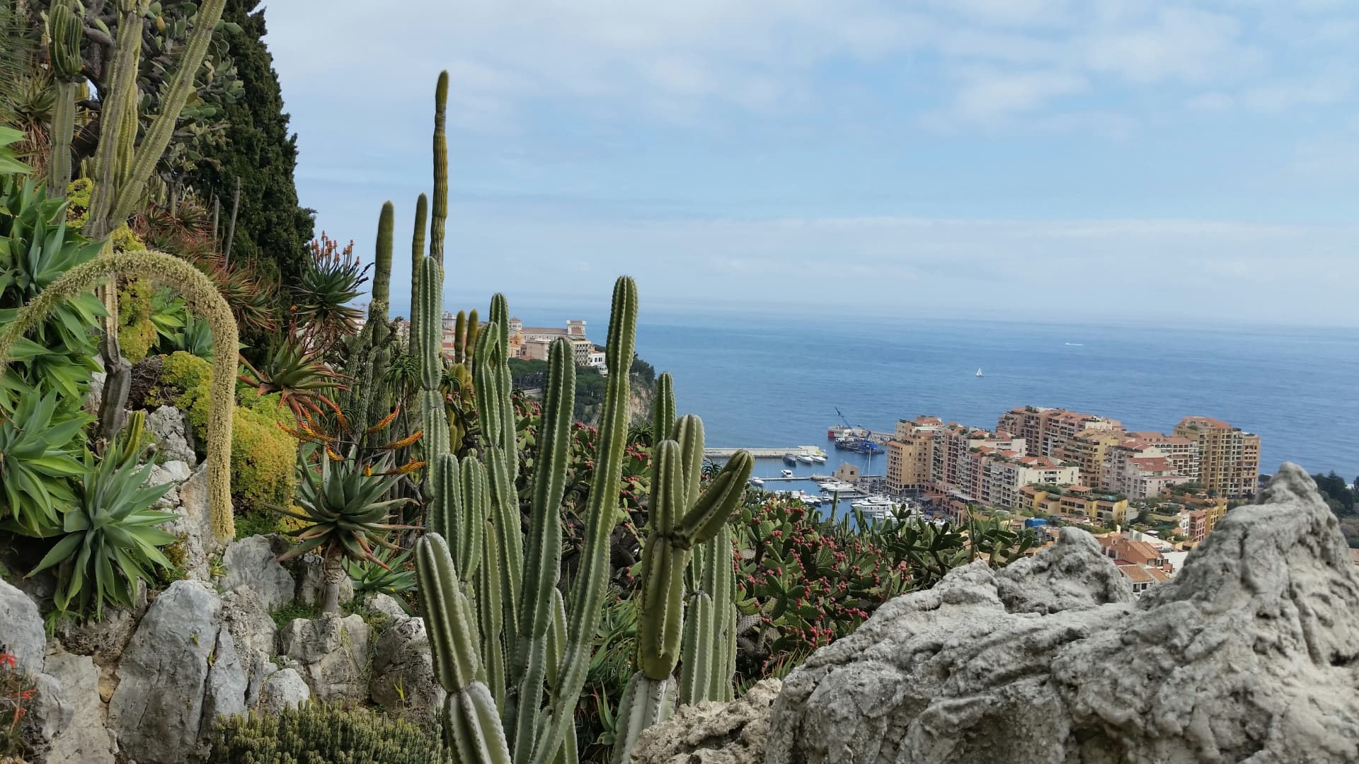 A cliffside exotic garden of cacti and succulents overlooking Monaco's coast, the Mediterranean and the Fontvieille harbour below